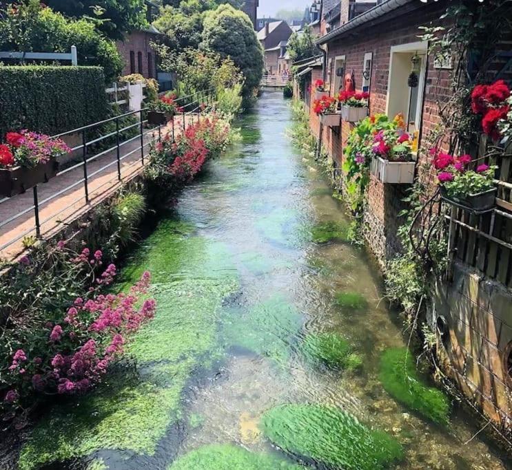 Saint-Aubin-sur-Scie L'Albatre - Maison Situee A Quelques Pas De La Mer מראה חיצוני תמונה